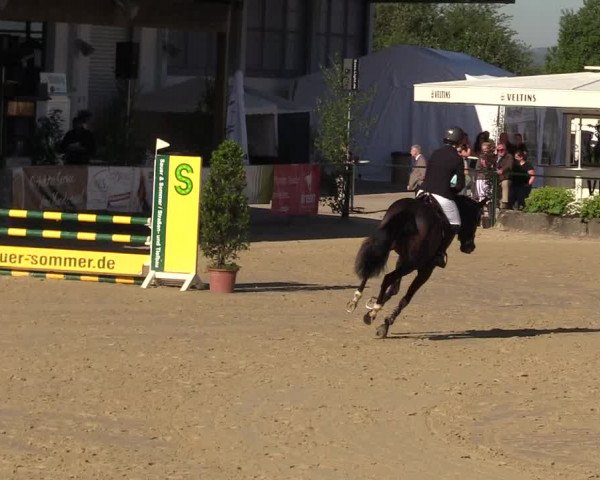 Reitturnier Hellefeld 2017