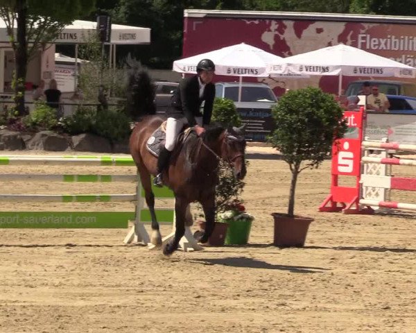 Reitturnier Hellefeld 2017