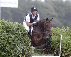 dressage horse Star Connection FRH (Hanoverian, 2008, from Chacco-Blue)