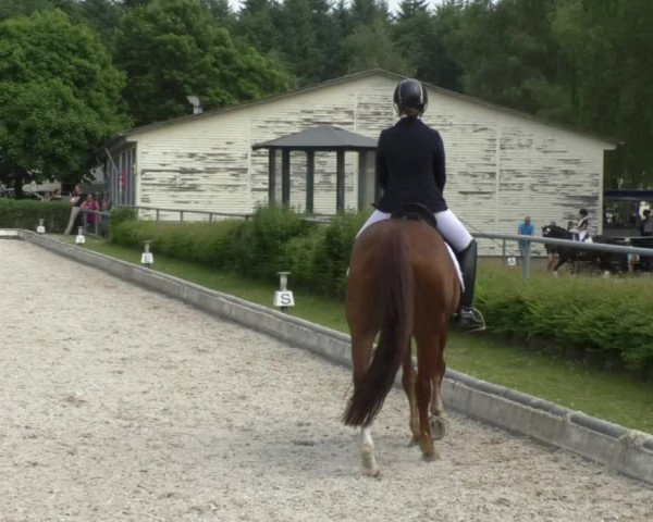 Reitturnier Kurtscheid 2017