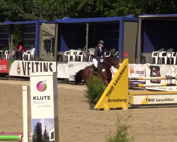 Reitturnier Hellefeld 2017