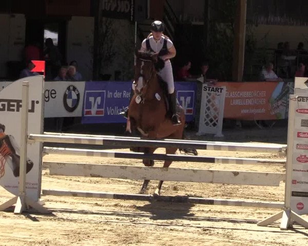 Reitturnier Hellefeld 2017