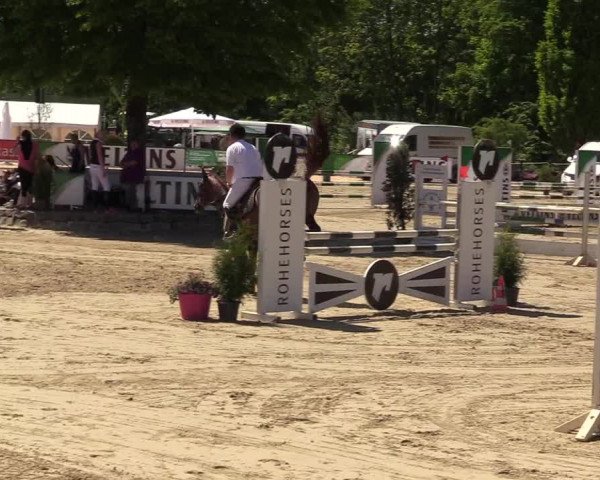 Reitturnier Hellefeld 2017