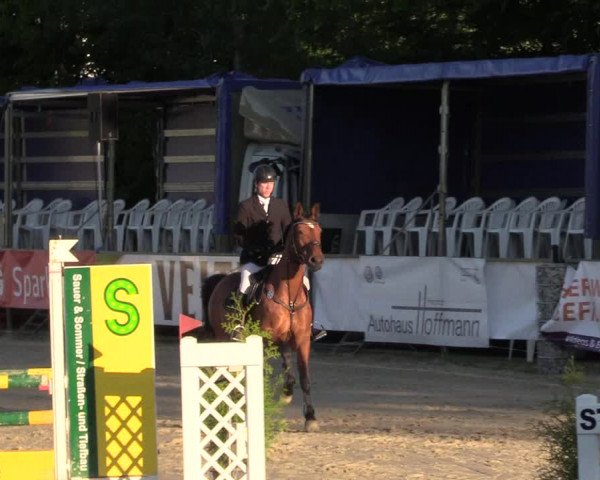 Reitturnier Hellefeld 2017
