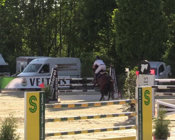 Reitturnier Hellefeld 2017