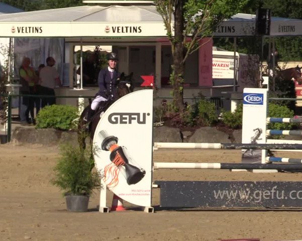 Reitturnier Hellefeld 2017