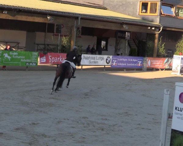 Reitturnier Hellefeld 2017