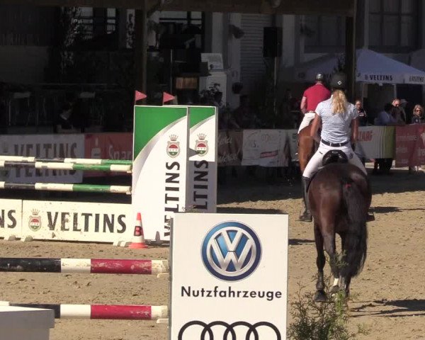 Reitturnier Hellefeld 2017