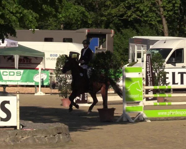 Reitturnier Hellefeld 2017