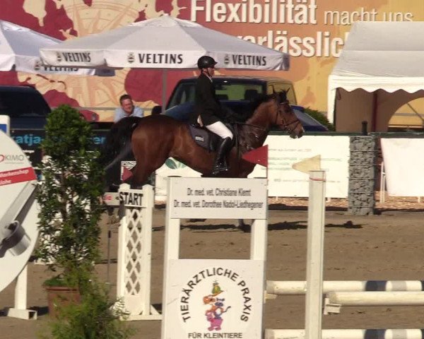 Reitturnier Hellefeld 2017