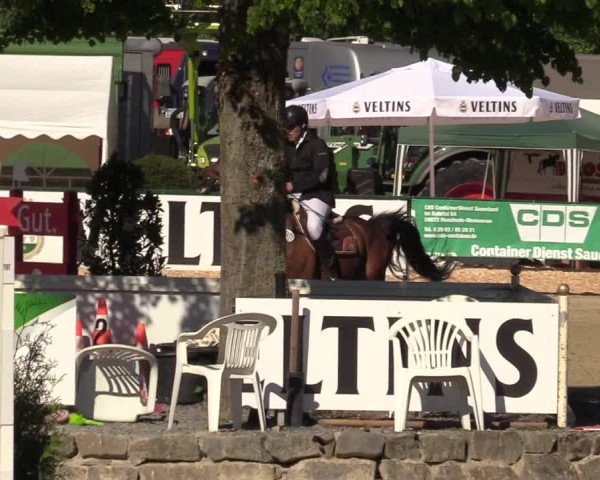 Reitturnier Hellefeld 2017