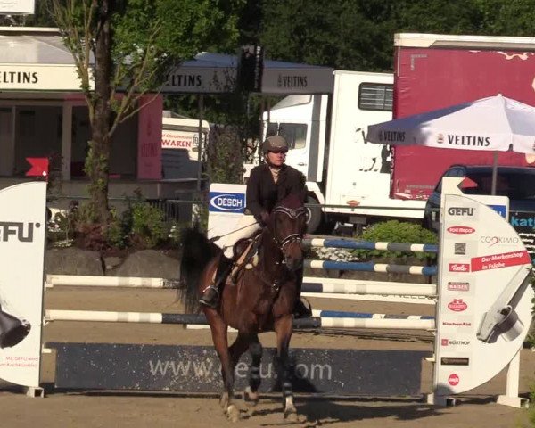 Reitturnier Hellefeld 2017
