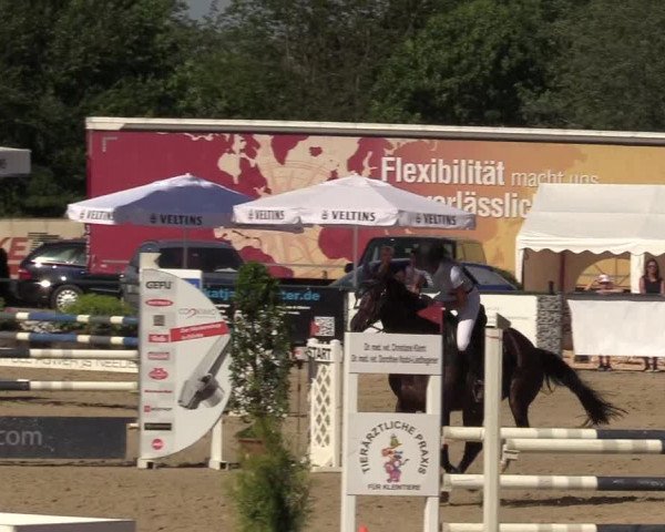 Reitturnier Hellefeld 2017