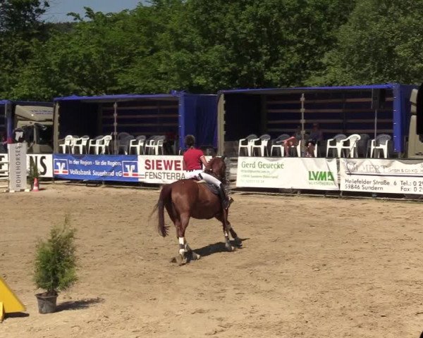 Reitturnier Hellefeld 2017