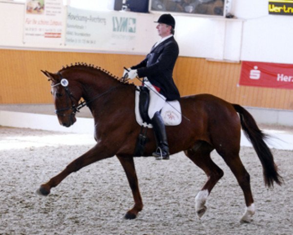dressage horse Don Carlos (Westphalian, 1999, from Donnerhall)