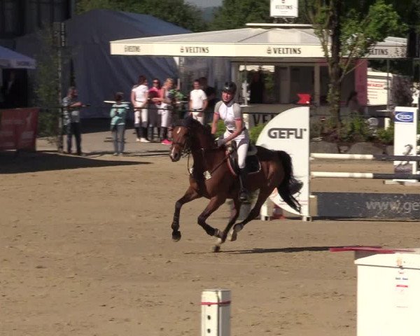 Reitturnier Hellefeld 2017