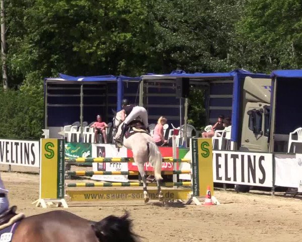 Reitturnier Hellefeld 2017