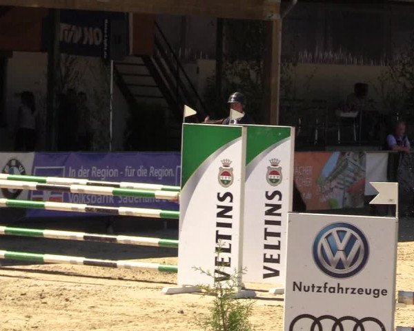 Reitturnier Hellefeld 2017