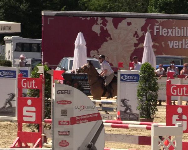 Reitturnier Hellefeld 2017