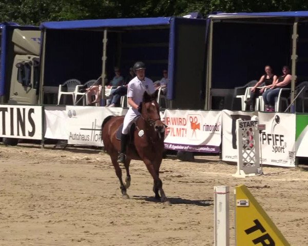 Reitturnier Hellefeld 2017