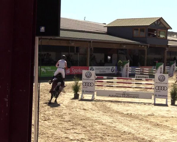 Reitturnier Hellefeld 2017