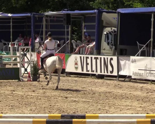 Reitturnier Hellefeld 2017