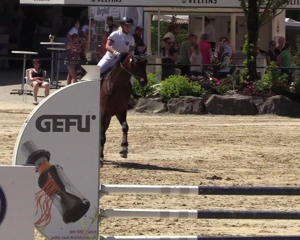 Reitturnier Hellefeld 2017