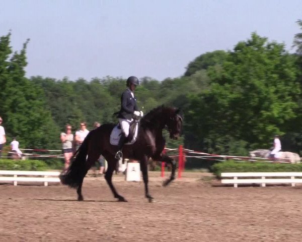 Reitturnier Hamm-Rhynern 2017