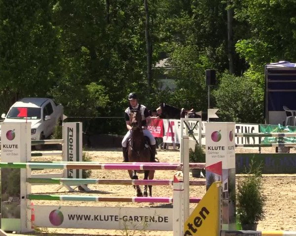 Reitturnier Hellefeld 2017