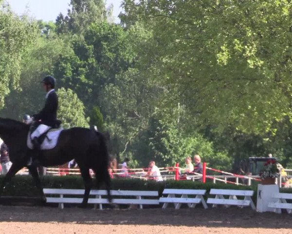 Reitturnier Hamm-Rhynern 2017