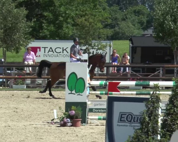 Reitturnier Kirchhellen/Stall Dieckmann 2017