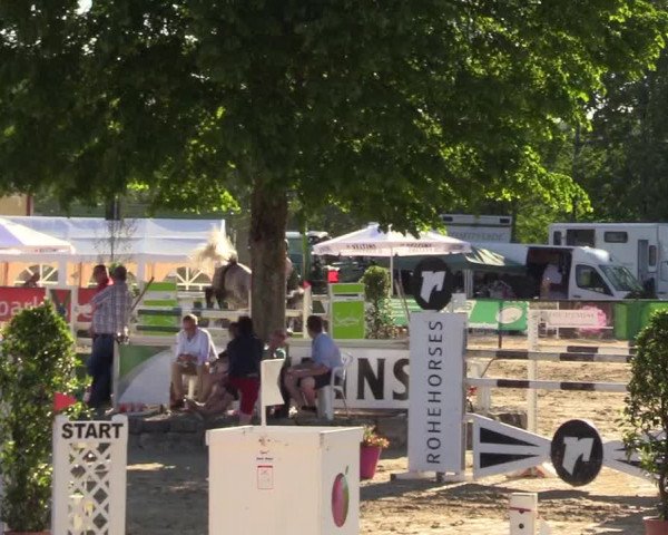 Reitturnier Hellefeld 2017