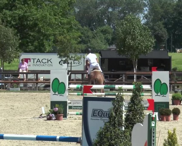 Reitturnier Kirchhellen/Stall Dieckmann 2017
