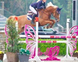jumper Ambrosia Kdw Z (Zangersheide riding horse, 2011, from Arko III)