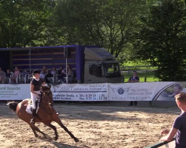 Reitturnier Hellefeld 2017