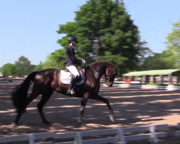 Reitturnier Hamm-Rhynern 2017