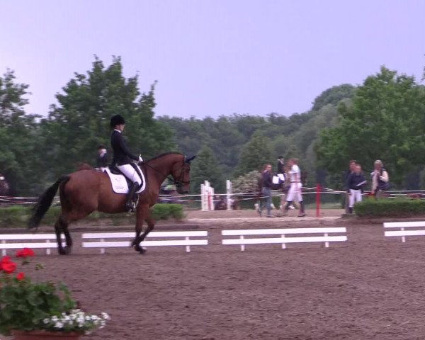 Reitturnier Hamm-Rhynern 2017