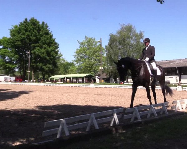 Reitturnier Hamm-Rhynern 2017