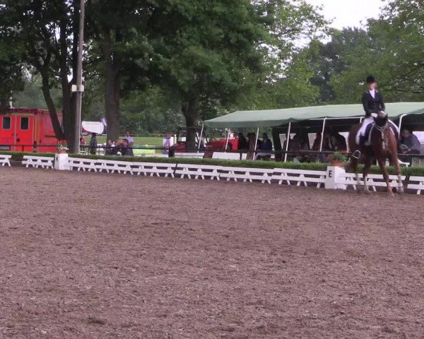 Reitturnier Hamm-Rhynern 2017