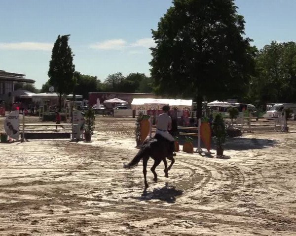 Reitturnier Hellefeld 2017