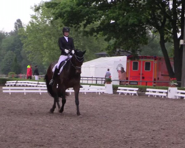 Reitturnier Hamm-Rhynern 2017