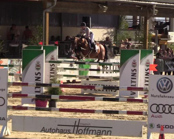 Reitturnier Hellefeld 2017