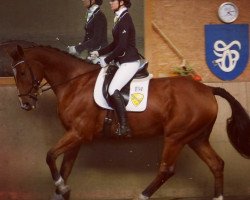 dressage horse Carvalor (German Sport Horse, 2005, from Collini)