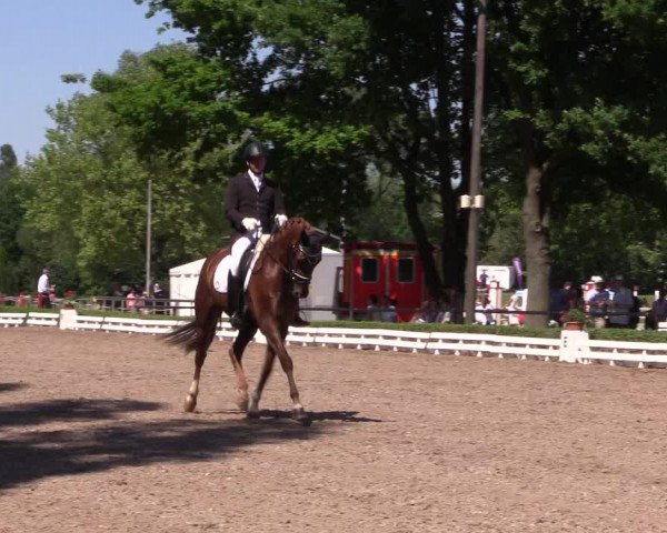 Reitturnier Hamm-Rhynern 2017