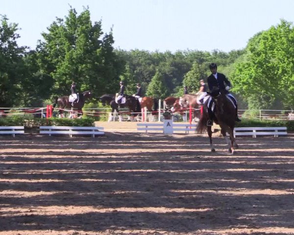 Reitturnier Hamm-Rhynern 2017