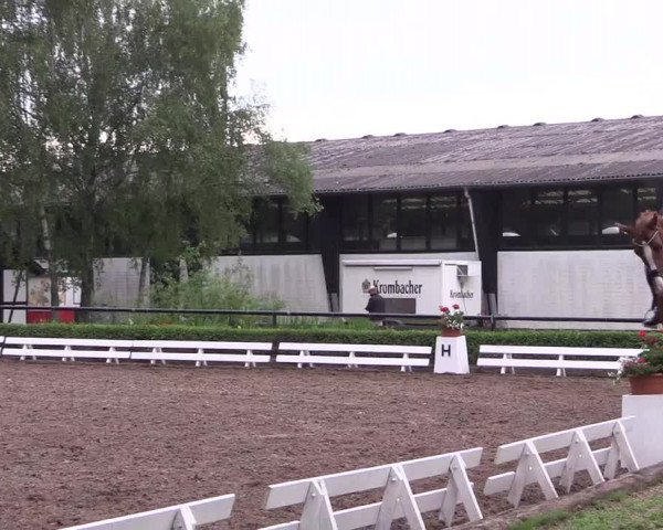 Reitturnier Hamm-Rhynern 2017
