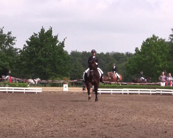 Reitturnier Hamm-Rhynern 2017