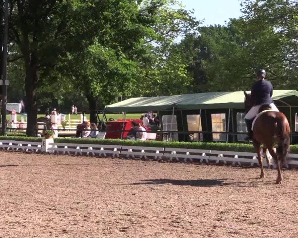 Reitturnier Hamm-Rhynern 2017