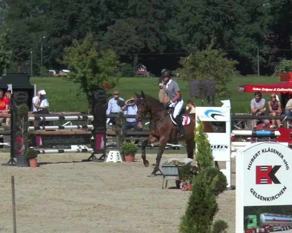 Reitturnier Kirchhellen/Stall Dieckmann 2017