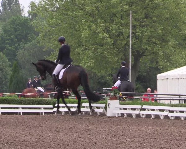 Reitturnier Hamm-Rhynern 2017